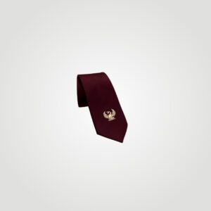 School Tie