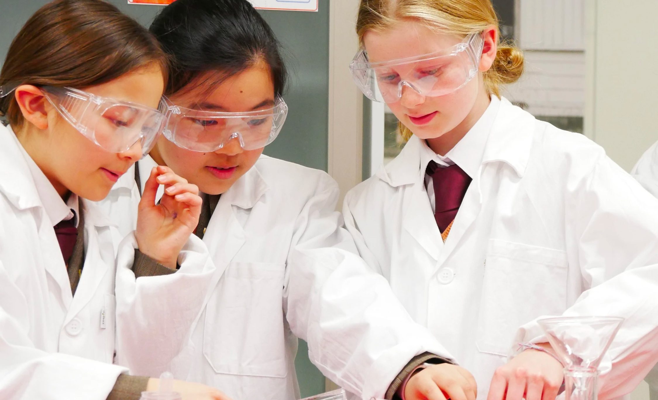 phis-science-class-2